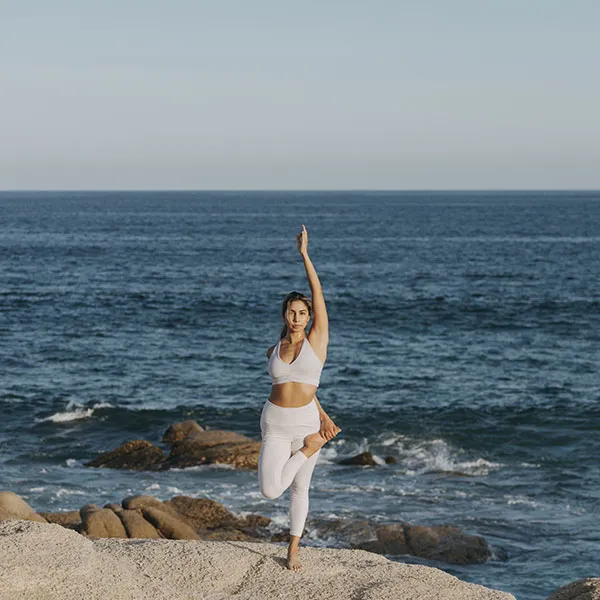 Tree pose on the rocks at the edge of the water