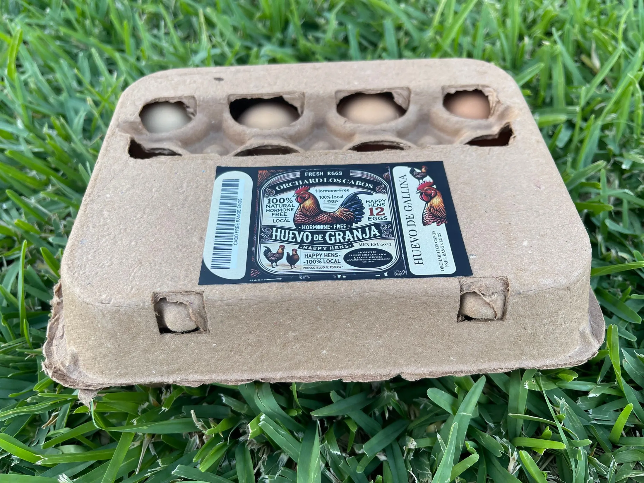 The retail carton on the grass, labelled Huevo de Granja — Orchard Los Cabos