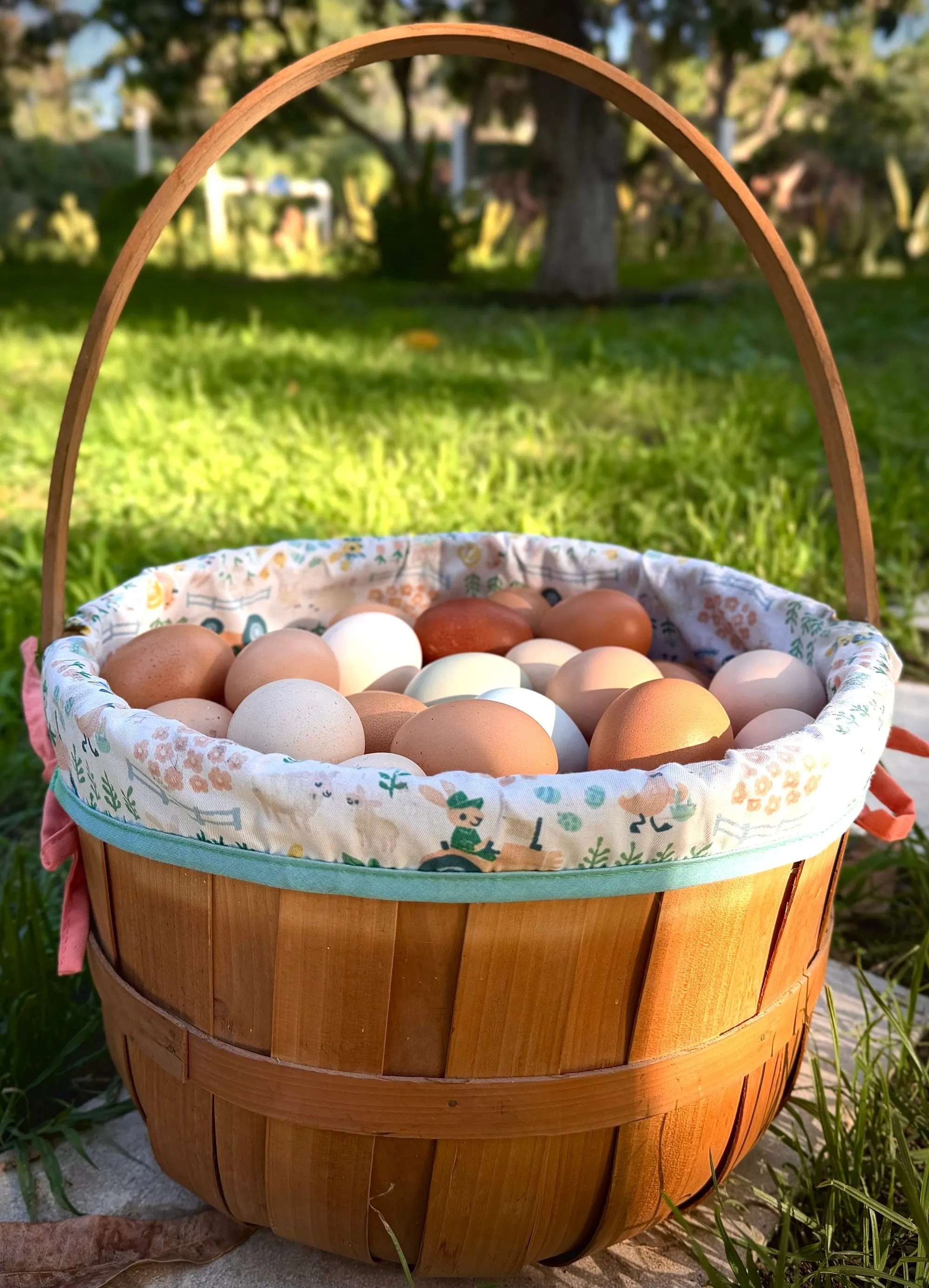 A lined basket filled with farm eggs — brown, cream and pale green — on the grass under the trees